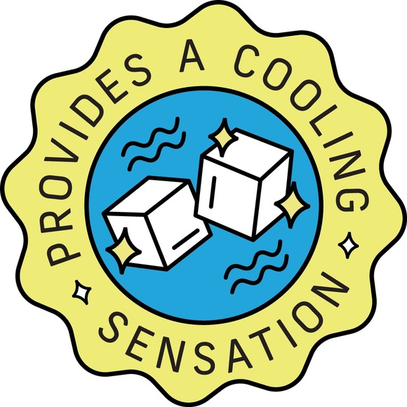 2 Pack The Honey Pot 🍯Company Herbal Overnight Pads w/Wings 12 Count Each Pack! - Picture 8 of 8